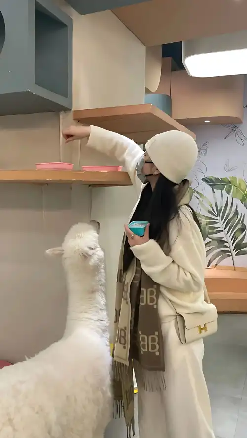9420免费看片_特级无码毛片免费视频播放▽_漂亮人妻洗澡被公强bd